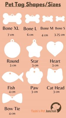 Fish Glitter Petz