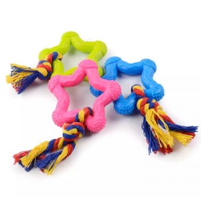 beaver chew toy for dogs Bark Super Chewer P.B. Beaver Durable Dog Toy
