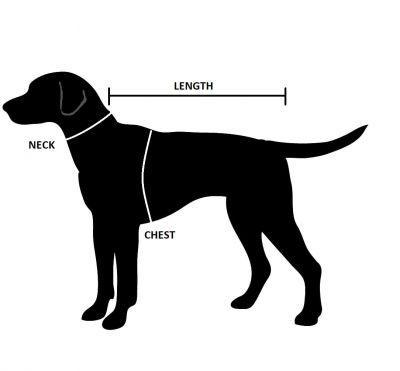 Adidog size chart top