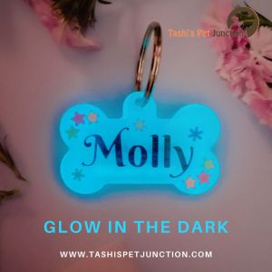 Glow in the Dark - Resin Personalized/Customized Name ID Tags for Dogs and Cats with Name and Contact Details