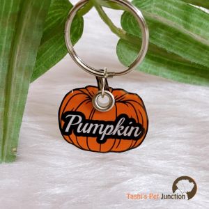 Pumpkin - Resin Personalized/Customized Name ID Tags for Dogs and Cats with Name and Contact Details