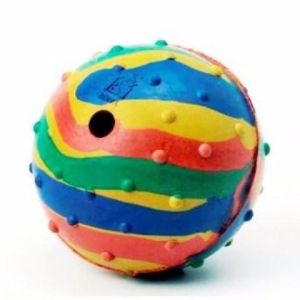 Rubber Musical Ball Dog Toy 