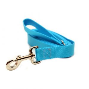 Nylon Leash for Dogs, Blue