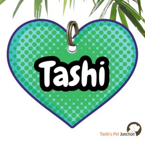 Customized Engraved Pet Name Collar Tags | Unique Cute Resin Dog ID Tags | Personalized Cat ID Tags | Heart Shaped Tags | Polka Ocean Dots Pet ID | Minty Pet Dot Heart ID | Whimsical Floating Dots Heart ID | Pawfect Polka Love Aqua Pop ID - Bubbly Love