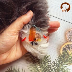 Personalized custom pet photo resin pet Rakhi for dogs & cats with with name and photo