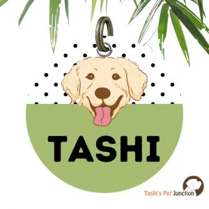 Customized Engraved Pet Name Collar Tags | Unique Cute Resin Dog ID Tags | Personalized Cat ID Tags | Dog Cat Face Breed Portrait Illustration | Paw Polka Breed Bark & Dot ID | Whisker Pet Face Dot ID | Tail Prints Polka Pet Charm - Breed Portrait (Green)