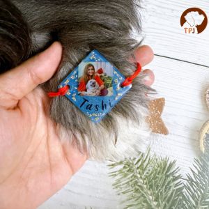 Personalized fur sibling photo resin pet Rakhi for dogs & cats with with name and photo