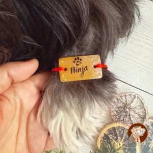 Personalized fur baby name resin pet Rakhi for dogs & cats with with name