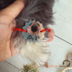 Personalized furry friend photo resin pet Rakhi for dogs & cats with with name and photo