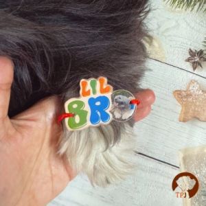 Personalized furry pet bro photo resin pet Rakhi for dogs & cats with with name and photo