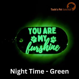 Personalized Pet Keychain | Custom Cat Keychain | Resin Acrylic Dog Keychain | Dog Memorial Gift | Radiant Glow In The Dark Keychain | Luminous Radium Pet Parent Charm | Glow Pet Lover Keychain | Fur Love Glow Tag - Furshine Glow Keychain
