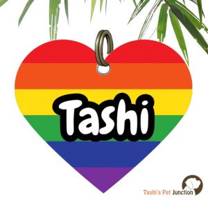 Customized Engraved Pet Name Collar Tags | Unique Cute Resin Dog ID Tags | Personalized Cat ID Tags | Heart Shaped Tags | Rainbow Love Pride Paw Heart ID | Colour Burst Unity Love in Stripes ID | Multicolor Bold Pride Paws Heart ID - Heart of Pride