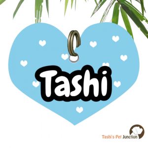 Customized Engraved Pet Name Collar Tags | Unique Cute Resin Dog ID Tags | Personalized Cat ID Tags | Heart Shaped Tags | Sky Love Blue Bliss Cloud Kiss Pawfect Blue Heart Charm | Sky Snuggle White Hearts on Blue Heavenly Paw ID - Hearts in the Sky