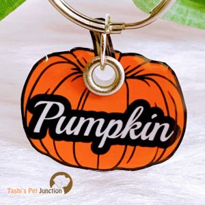 Personalized/Customized Name ID Tags | Food Theme Foodie | Cute Resin Dog Tags | Unique Dog ID Tags | Personalized Cat ID Tags | Engraved Dog ID Tags | Halloween Ghost Spooky | Foodie Dog Tags | Dog Collar Tags | Gift Ideas for a Dog Cat Parent - Pumpkin