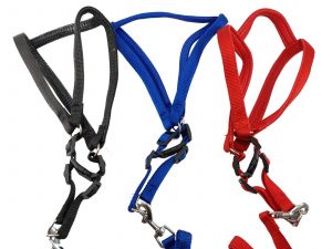 Nylon Padded Body Harness Set for Dogs