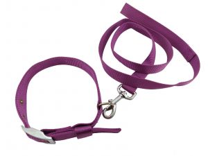 Nylon Collar and Leash Set for Dogs - Purple, Large