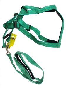 Nylon Printed Adjustable Harness and Leash Set for Larger Dogs, X-Large