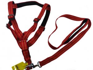 Nylon Printed Adjustable Harness and Leash Set for Medium to Larger Dogs, Large