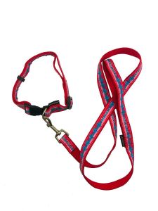 Nylon Printed Adjustable Collar and Leash Set