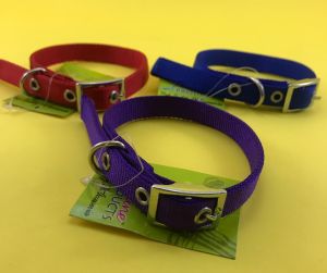 Canine Nylon Collar for Dogs and Cats, Small