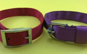 Canine Nylon Collar for Dogs, X-Large