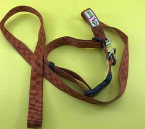 All4pets Nylon Printed Adjustable Collar and Leash Set