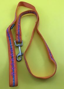 Nylon Printed Leash for Dogs and Cats, Orange