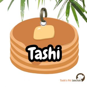 Customized Engraved Pet Name Collar Tags | Unique Cute Resin Dog ID Tags | Personalized Cat ID Tags | Food Theme Foodie Dog Tags | Maple Mornings Syrup & Snuggles Breakfast Buddy Name Tag | Kawaii Maple Pup Waffle Whiskers Pet ID - Maple Drizzle Pancake