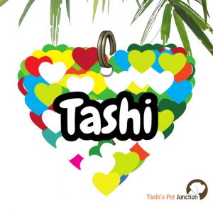 Customized Engraved Pet Name Collar Tags | Unique Cute Resin Dog ID Tags | Personalized Cat ID Tags | Heart Shaped Tags | Rainbow Love Color Burst Heart ID | Pet Pride Heart Patch Vibrant Love Pop ID | Colorful Pawtastic Heart - Multicolor Heart Cluster