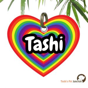 Customized Engraved Pet Name Collar Tags | Unique Cute Resin Dog ID Tags | Personalized Cat ID Tags | Heart Shaped Tags | Pride Paw Heart Rainbow Love Pet ID | Heart of Pride ColorBurst Unity Paws Multicolor ID | Love Wins Pride - Multicolor Pride Heart