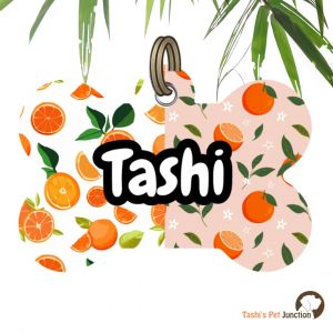 Customized Engraved Pet Name Collar Tags | Unique Cute Resin Dog ID Tags | Personalized Cat ID Tags | Summer Collection Fruit Theme | Citrus Charm Pet ID | Zesty Pawsonalized Tangerine Dream Pet ID | Citrus Pop Mandarin Muse - Sunny Squeeze Orange