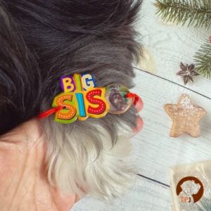 Personalized furry pet sis photo resin pet Rakhi for dogs & cats with with name and photo