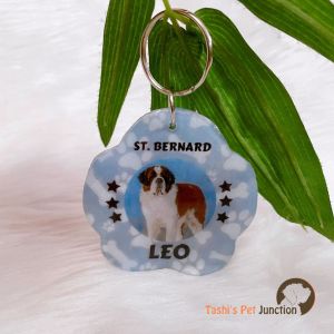 Paw Shape with Pooches Picture - Personalized/Customized Name ID Tags for Dogs and Cats with Name and Contact Details