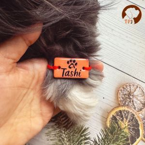 Personalized pet paw name resin pet Rakhi for dogs & cats with with name