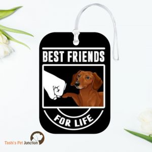 Personalized Resin Luggage Tag Keychain | Custom Luggage Bag Tag for Pet Lover | Carryon Luggage Tag | Gift for the Traveler | Gift for Dog Lover | BFF Dog & Man Tag | Lifelong Friends Travel Tag | Paws & Fist Bump Luggage Tag - Best Friends For Life