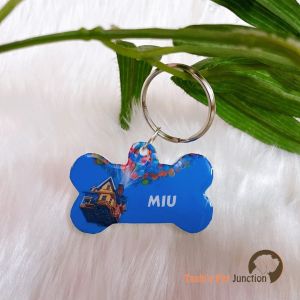Up Theme - Personalized/Customized Name ID Tags for Dogs and Cats with Name and Contact Details