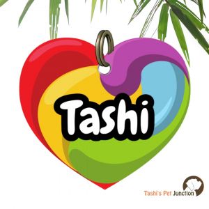 Customized Engraved Pet Name Collar Tags | Unique Cute Resin Dog ID Tags | Personalized Cat ID Tags | Heart Shaped Tags | Paw Pride Multicolor Rainbow Heart ID | Colour Burst Vibrant Pet Splash ID | Joyful Heart Pop Paw Colour Heart ID - Whirl of Love